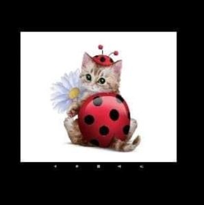 Meet your Posher, Marie-claude